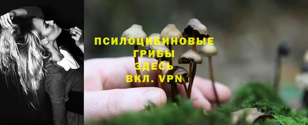 PSILOCYBIN Балахна